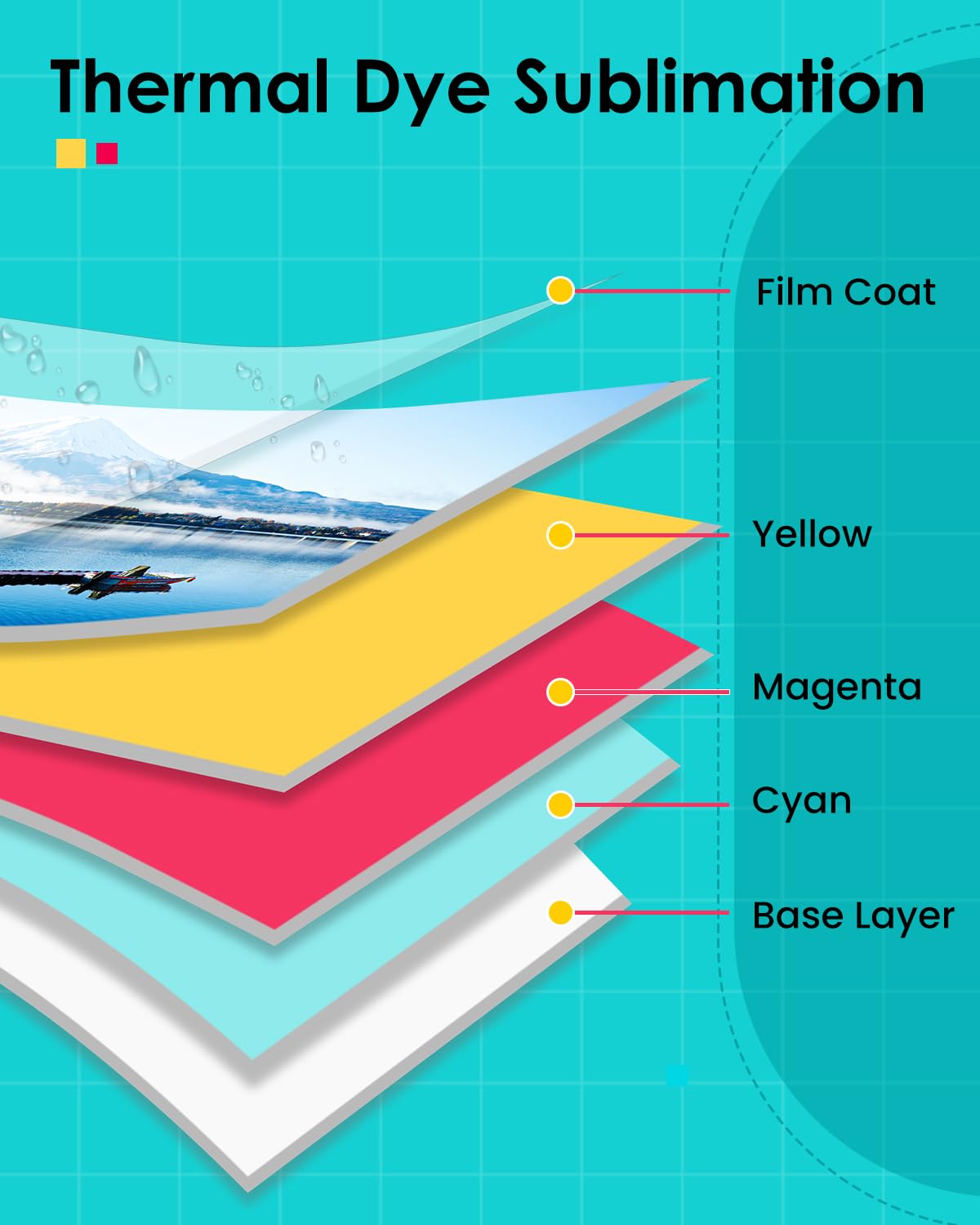 LP-80 Compatible for Liene Amb - Solvent Printer Ink ulasan dan harga